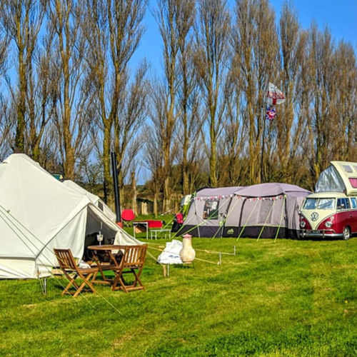 Tents and campervans on green grass with a row of polar trees and blue sky behind. 