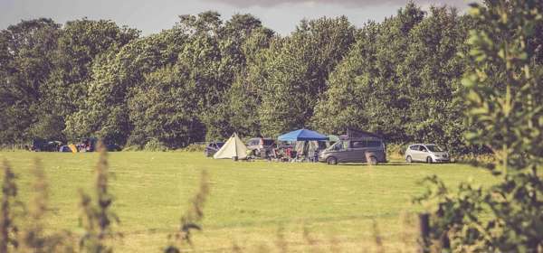 Campsite with tents set in a field surrounded by trees.