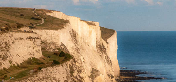 Chalk cliff face of the White Cliffs of Dover 