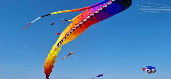 Colourful kites in a blue sky