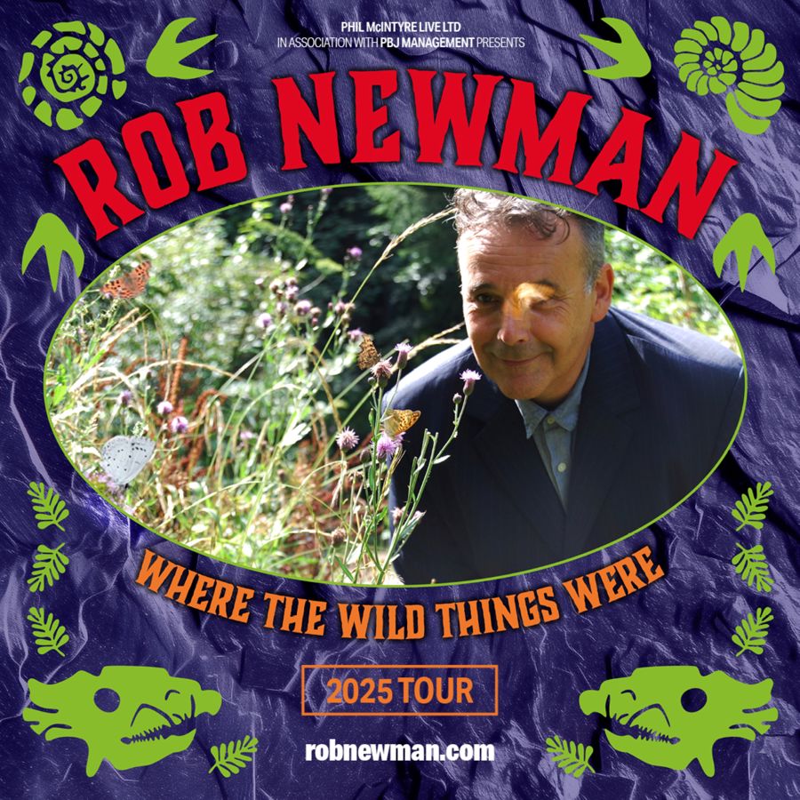 Advertising poster for Rob Newman tour