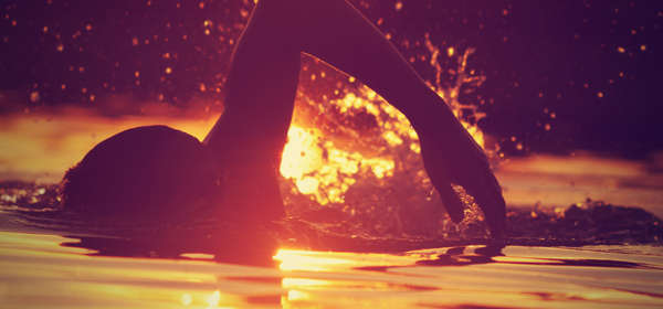 Sea swimmer in golden sea at sunrise.