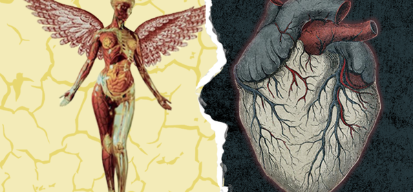 Picture of a woman with wings & a human heart